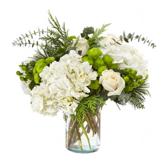Hydrangeas