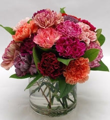 Carnations