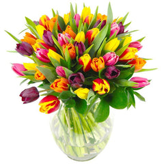 Tulips