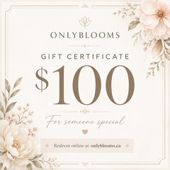 Gift Certificates