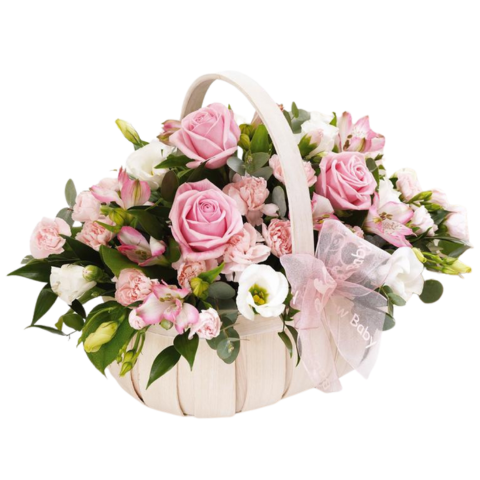Congrats Newborn Baby Girl Basket