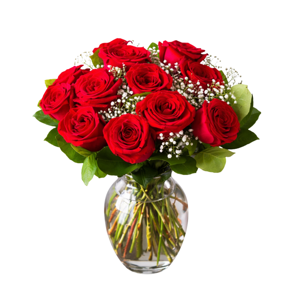 12 RED ROSES